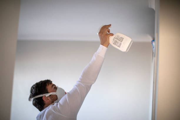 Best Mold Testing  in Powdersville, SC