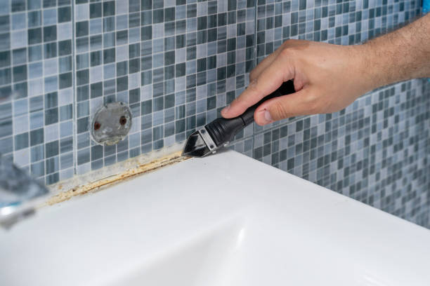 Best Fast Mold Removal  in Powdersville, SC