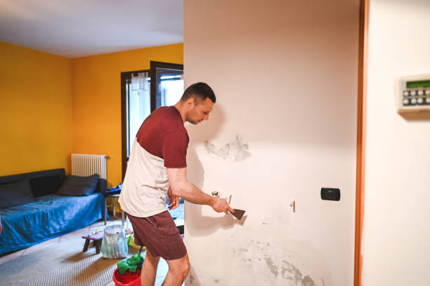 Mold Removal and Inspection in Powdersville, SC