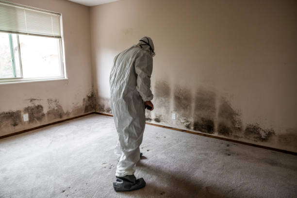 Best Toxic Mold Removal  in Powdersville, SC