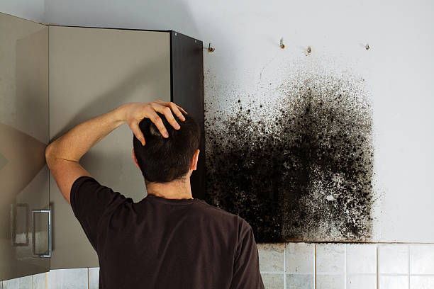 Best Mold Cleaning Services  in Powdersville, SC